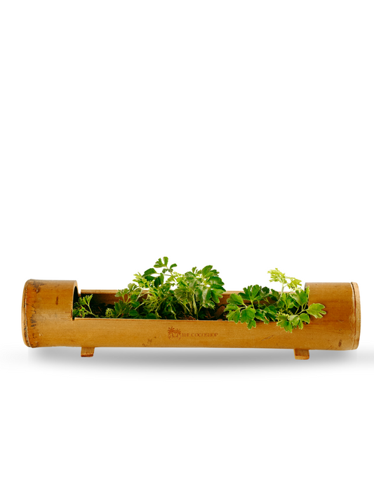 Table Top Bamboo Planter Tray
