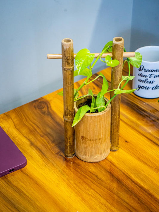 Bamboo Table Top Single Barrel {Planter Pot}